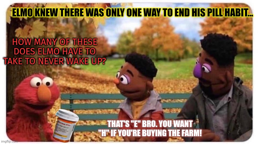 Sesame street lost episodes | ELMO KNEW THERE WAS ONLY ONE WAY TO END HIS PILL HABIT... HOW MANY OF THESE DOES ELMO HAVE TO TAKE TO NEVER WAKE UP? THAT'S "E" BRO. YOU WANT "H" IF YOU'RE BUYING THE FARM! | image tagged in sesame street,lost episodes,stop it get some help,pills,elmo | made w/ Imgflip meme maker