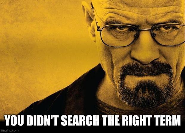 Breaking bad | YOU DIDN'T SEARCH THE RIGHT TERM | image tagged in breaking bad | made w/ Imgflip meme maker
