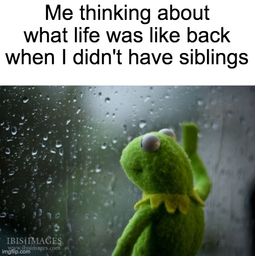 I wish I could go back to those days |  Me thinking about what life was like back when I didn't have siblings | image tagged in kermit window,siblings | made w/ Imgflip meme maker