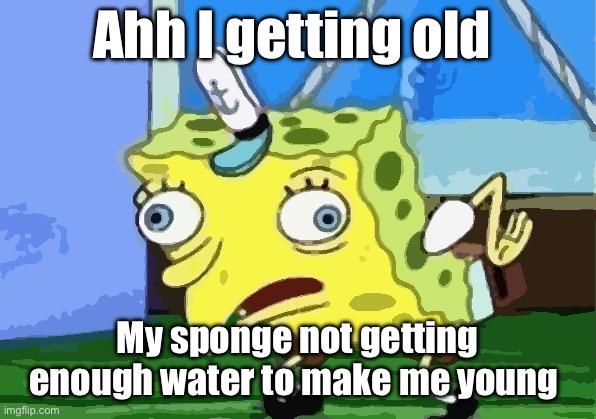 Mocking Spongebob | Ahh I getting old; My sponge not getting enough water to make me young | image tagged in memes,mocking spongebob | made w/ Imgflip meme maker