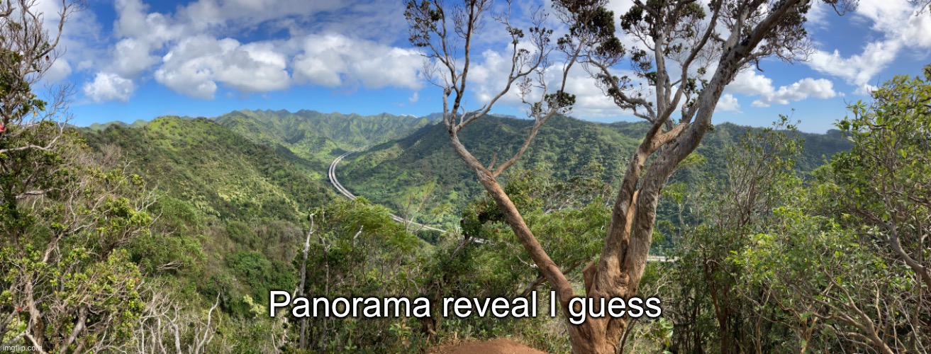 Panorama reveal I guess | made w/ Imgflip meme maker