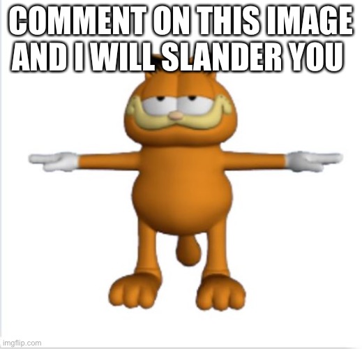 Stolen idea but who cares | COMMENT ON THIS IMAGE AND I WILL SLANDER YOU | image tagged in garfield t-pose | made w/ Imgflip meme maker