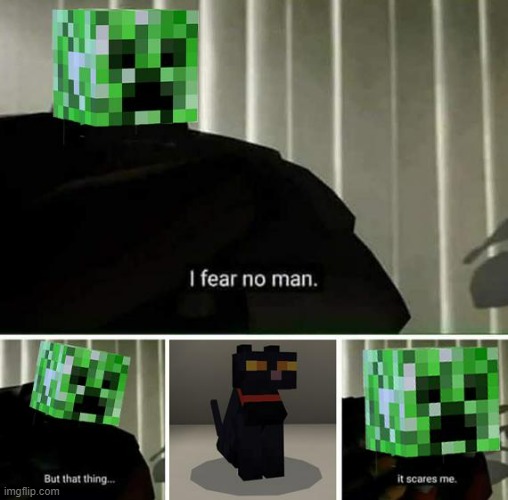 image tagged in minecraft | made w/ Imgflip meme maker