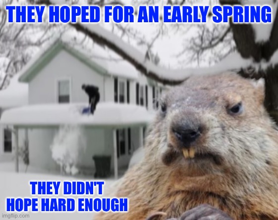 Disaster Groundhog | THEY HOPED FOR AN EARLY SPRING; THEY DIDN'T HOPE HARD ENOUGH | image tagged in disaster groundhog | made w/ Imgflip meme maker