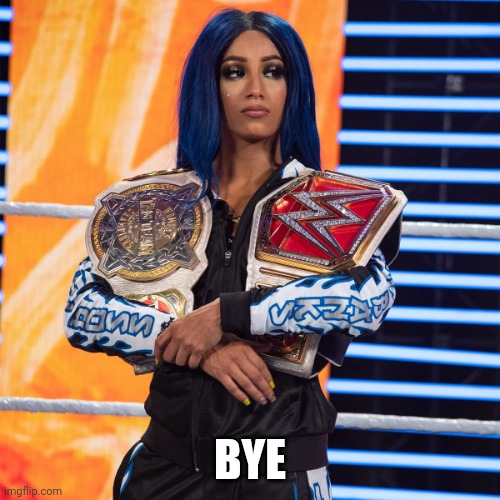 Sasha Banks | BYE | image tagged in sasha banks 2 | made w/ Imgflip meme maker