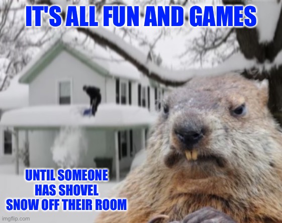February 2, 2023 | IT'S ALL FUN AND GAMES; UNTIL SOMEONE HAS SHOVEL SNOW OFF THEIR ROOM | image tagged in disaster groundhog | made w/ Imgflip meme maker