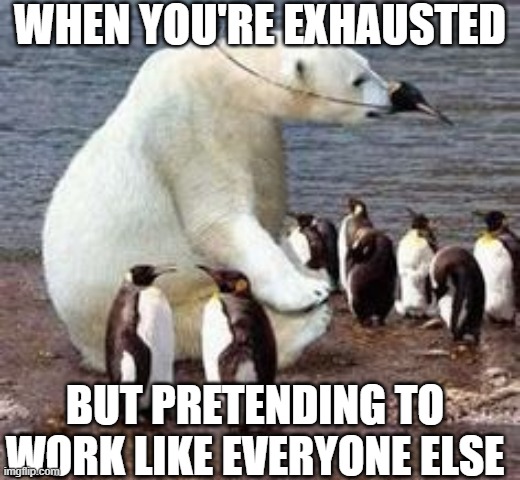 We're all polar bears among penguins | WHEN YOU'RE EXHAUSTED; BUT PRETENDING TO WORK LIKE EVERYONE ELSE | image tagged in polar bear is in disguise | made w/ Imgflip meme maker