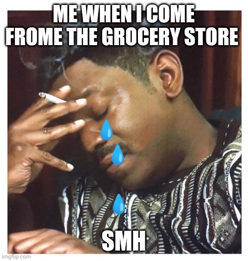 Tired of Being Tired | ME WHEN I COME FROME THE GROCERY STORE; SMH | image tagged in funny memes,stressed out,money money | made w/ Imgflip meme maker