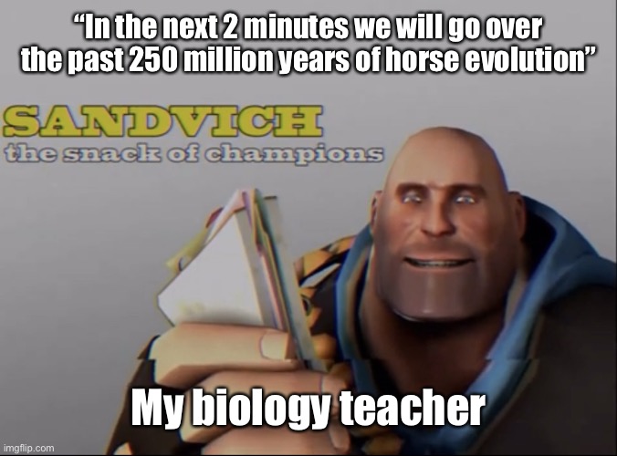 sandvich the snack of champions | “In the next 2 minutes we will go over the past 250 million years of horse evolution”; My biology teacher | image tagged in sandvich the snack of champions | made w/ Imgflip meme maker