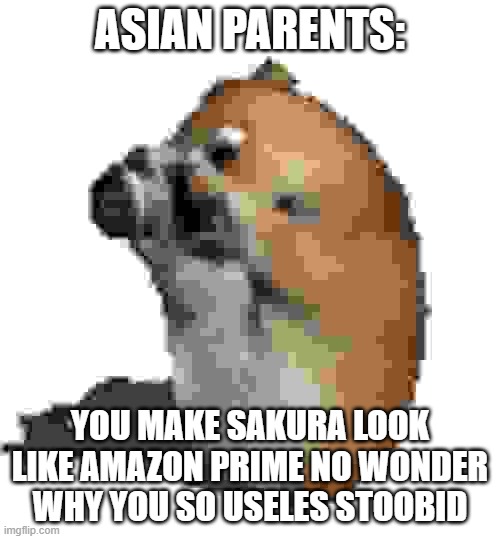 Asians parents be like: | ASIAN PARENTS:; YOU MAKE SAKURA LOOK LIKE AMAZON PRIME NO WONDER WHY YOU SO USELES STOOBID | image tagged in caught in 4k | made w/ Imgflip meme maker