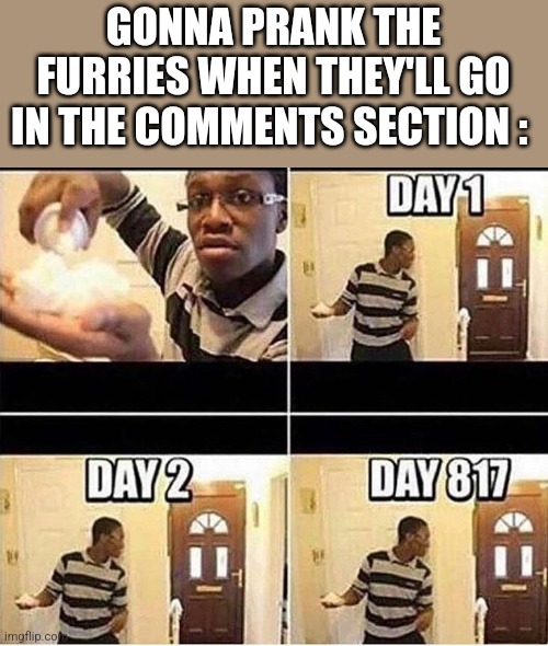 Gonna Prank Dad | GONNA PRANK THE FURRIES WHEN THEY'LL GO IN THE COMMENTS SECTION : | image tagged in gonna prank dad | made w/ Imgflip meme maker