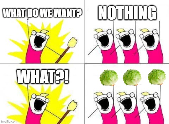 What Do We Want Meme | WHAT DO WE WANT? NOTHING; WHAT?! | image tagged in memes,what do we want | made w/ Imgflip meme maker