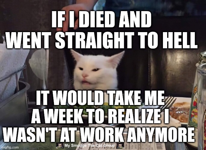 IF I DIED AND WENT STRAIGHT TO HELL; IT WOULD TAKE ME A WEEK TO REALIZE I WASN'T AT WORK ANYMORE | image tagged in smudge the cat | made w/ Imgflip meme maker