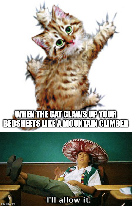 ill allow it cat | WHEN THE CAT CLAWS UP YOUR BEDSHEETS LIKE A MOUNTAIN CLIMBER | image tagged in ill allow it,remake,exceptions | made w/ Imgflip meme maker