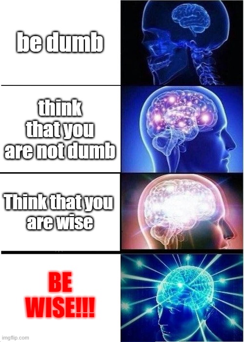 Expanding Brain | be dumb; think that you are not dumb; Think that you 
are wise; BE WISE!!! | image tagged in memes,expanding brain | made w/ Imgflip meme maker