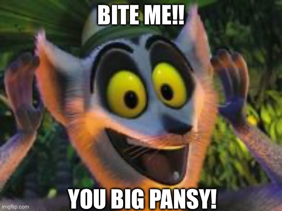 madagascar Lemur | BITE ME!! YOU BIG PANSY! | image tagged in madagascar lemur | made w/ Imgflip meme maker