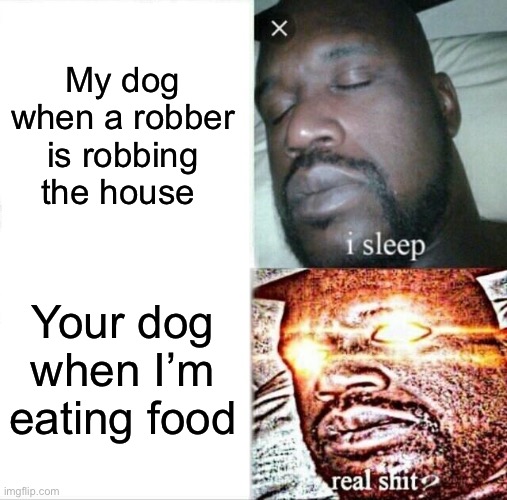 I swear every time | My dog when a robber is robbing the house; Your dog when I’m eating food | image tagged in memes,sleeping shaq | made w/ Imgflip meme maker