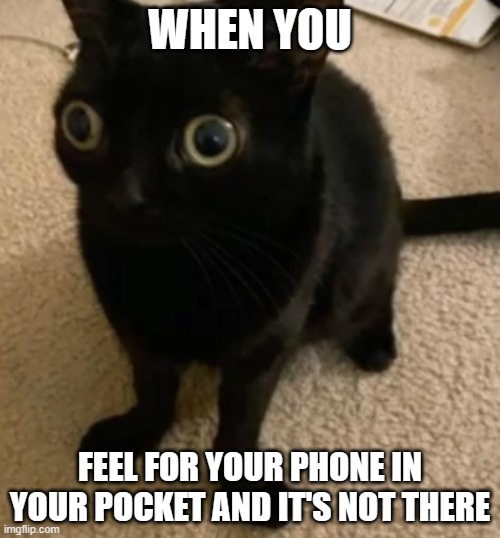 big eye cat | WHEN YOU; FEEL FOR YOUR PHONE IN YOUR POCKET AND IT'S NOT THERE | image tagged in big eye cat | made w/ Imgflip meme maker