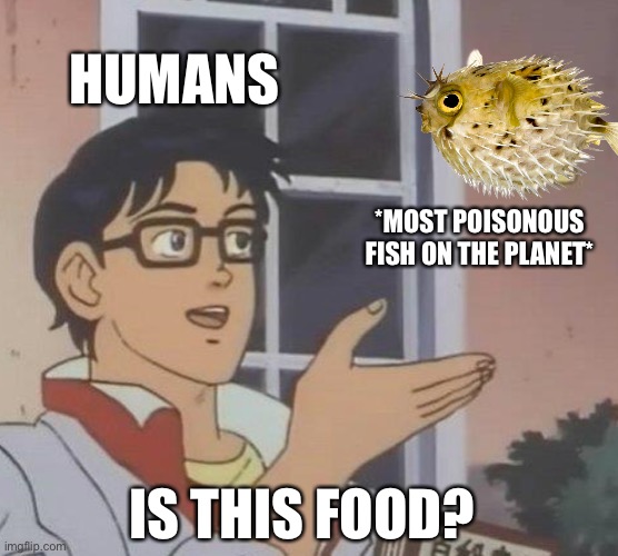 Is This A Pigeon | HUMANS; *MOST POISONOUS FISH ON THE PLANET*; IS THIS FOOD? | image tagged in memes,is this a pigeon | made w/ Imgflip meme maker
