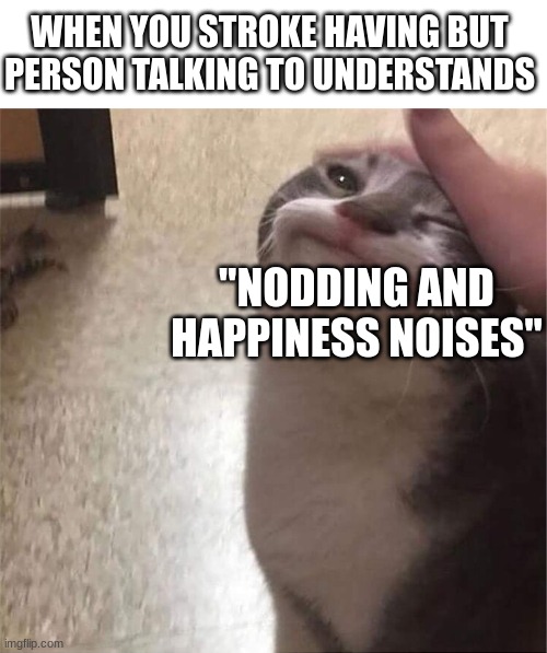 When Stroke Understand. | WHEN YOU STROKE HAVING BUT PERSON TALKING TO UNDERSTANDS; "NODDING AND HAPPINESS NOISES" | image tagged in praise cat,relatable,me irl | made w/ Imgflip meme maker