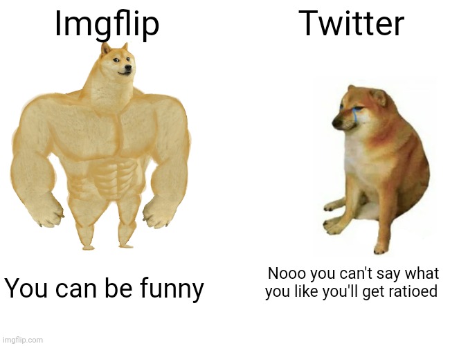 (Mod note: Ratio)  | Imgflip; Twitter; Nooo you can't say what you like you'll get ratioed; You can be funny | image tagged in memes,buff doge vs cheems | made w/ Imgflip meme maker