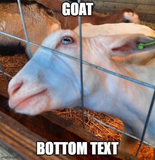 Goat (thumbs up) | GOAT; BOTTOM TEXT | image tagged in bad advice goat,goat | made w/ Imgflip meme maker