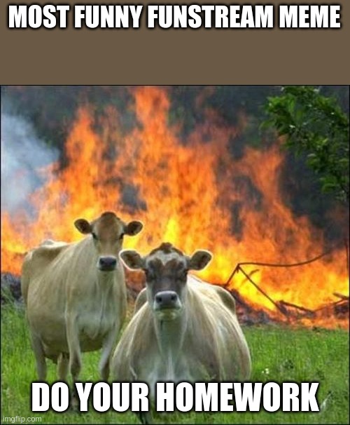 read the top text | MOST FUNNY FUNSTREAM MEME; DO YOUR HOMEWORK | image tagged in memes,evil cows | made w/ Imgflip meme maker