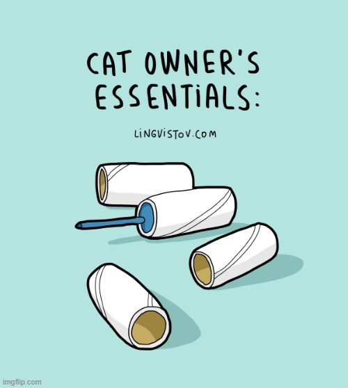 A Cat Guy's Way Of Thinking | image tagged in memes,comics,essential,cars,hair,pickup | made w/ Imgflip meme maker