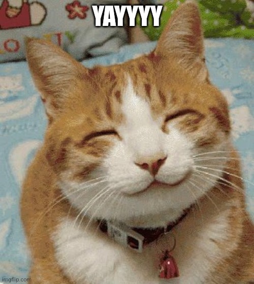 Happy Cat Smiling | YAYYYY | image tagged in happy cat smiling | made w/ Imgflip meme maker
