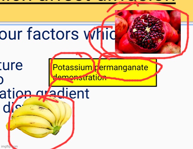 guys my 2 favourite fruits | made w/ Imgflip meme maker
