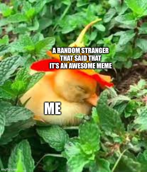 I would appreciate it! :) | A RANDOM STRANGER THAT SAID THAT IT’S AN AWESOME MEME; ME | image tagged in happy duck with flower hat,memes,ducks,cute,relatable memes,funny | made w/ Imgflip meme maker