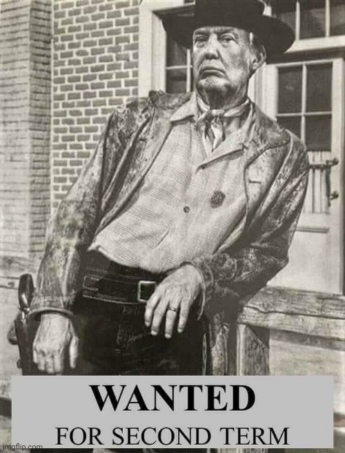 Wanted: For Second Term | image tagged in donald trump approves | made w/ Imgflip meme maker