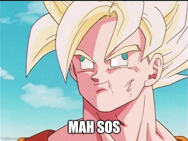 Goku Derp Face | MAH SOS | image tagged in goku derp face | made w/ Imgflip meme maker