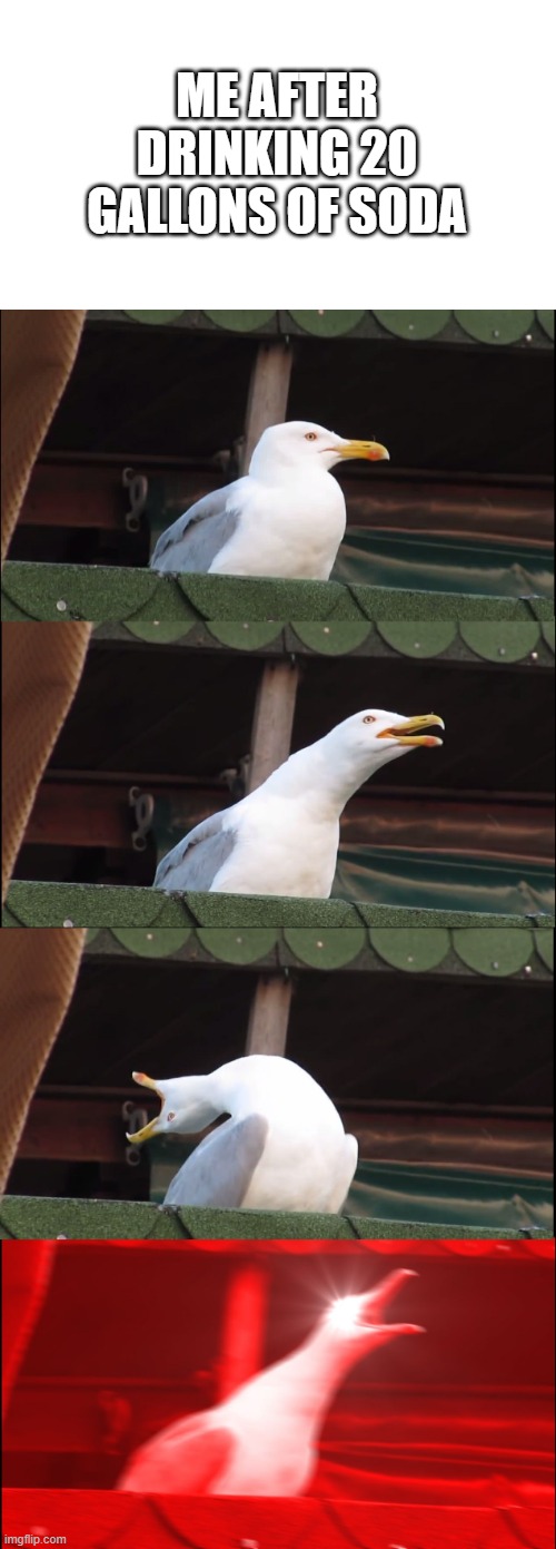 I dar you to do this | ME AFTER DRINKING 20 GALLONS OF SODA | image tagged in memes,inhaling seagull | made w/ Imgflip meme maker