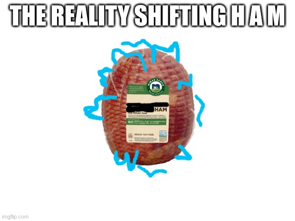 Pov: You have a slab of ham that could possibly be world ending. wdyd? | THE REALITY SHIFTING H A M | made w/ Imgflip meme maker