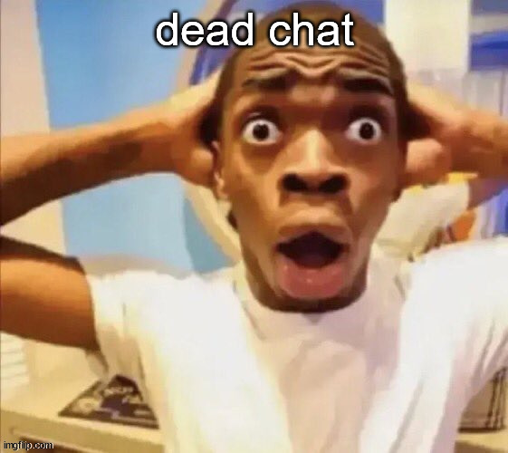 in shock | dead chat | image tagged in in shock | made w/ Imgflip meme maker