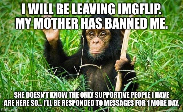 Goodbye friends | I WILL BE LEAVING IMGFLIP. MY MOTHER HAS BANNED ME. SHE DOESN’T KNOW THE ONLY SUPPORTIVE PEOPLE I HAVE ARE HERE SO… I’LL BE RESPONDED TO MESSAGES FOR 1 MORE DAY. | image tagged in goodbye | made w/ Imgflip meme maker