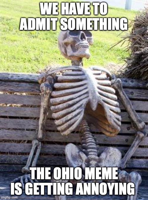 brehhhhhhh | WE HAVE TO ADMIT SOMETHING; THE OHIO MEME IS GETTING ANNOYING | image tagged in memes,waiting skeleton | made w/ Imgflip meme maker