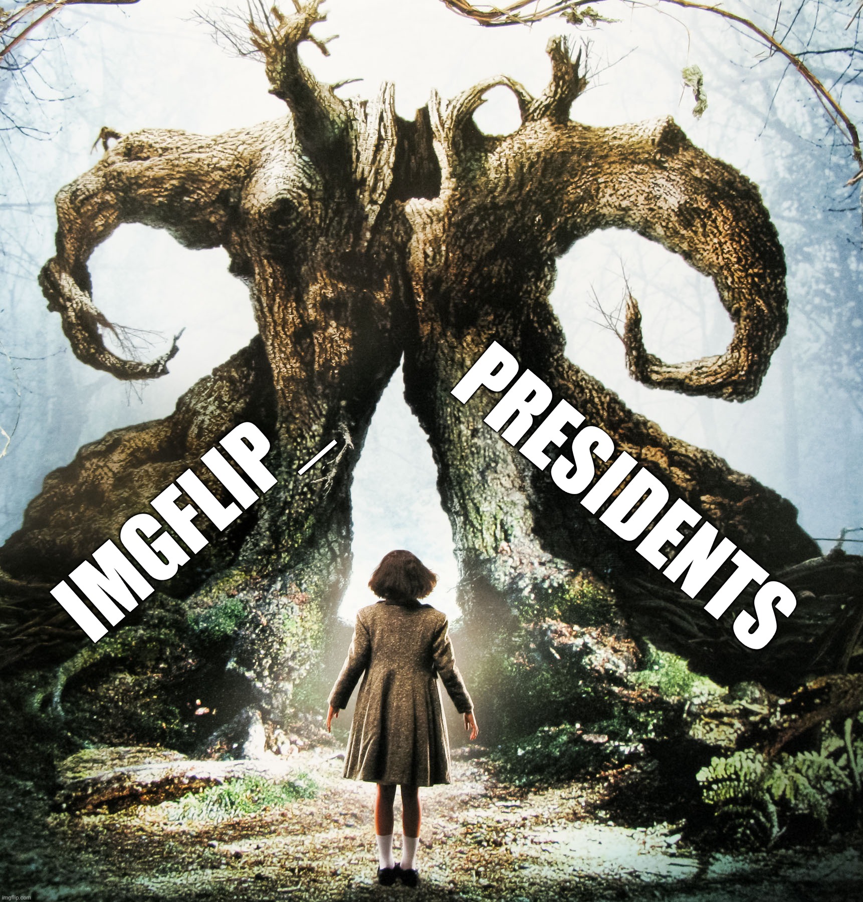 Sometimes a user has to enter the fig tree, crawl in the mud and put three magic stones in the toad's mouth to get the key. | PRESIDENTS; IMGFLIP_ | image tagged in imgflip_presidents,pan's labyrinth,ofelia,spanish revolution | made w/ Imgflip meme maker