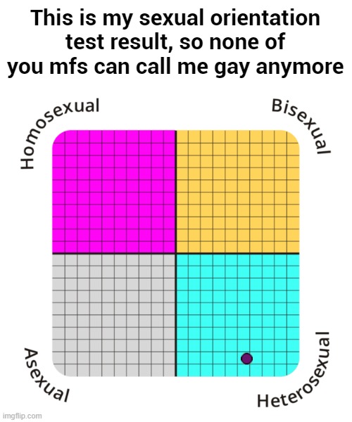 I’m Gay mfs!!! I am a Homosexual. Im gay as shit! | This is my sexual orientation test result, so none of you mfs can call me gay anymore | made w/ Imgflip meme maker