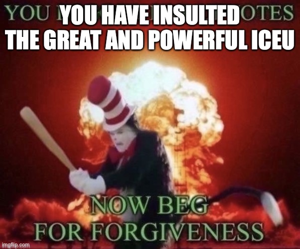 Beg for forgiveness | YOU HAVE INSULTED THE GREAT AND POWERFUL ICEU | image tagged in beg for forgiveness | made w/ Imgflip meme maker