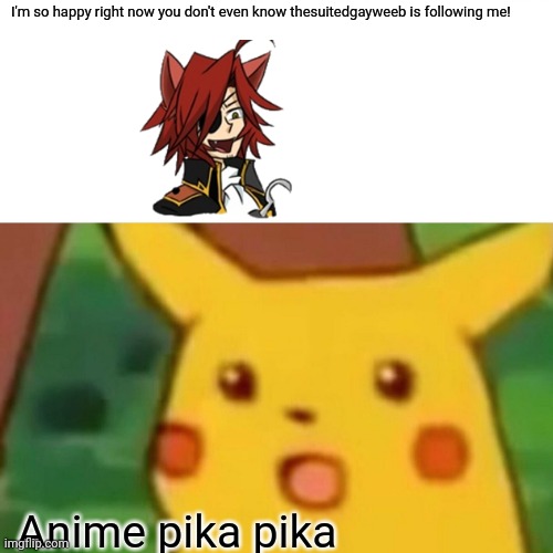 Thank you sm! (TSGW'S NOTE: You're Welcome) | I'm so happy right now you don't even know thesuitedgayweeb is following me! Anime pika pika | image tagged in memes,surprised pikachu | made w/ Imgflip meme maker