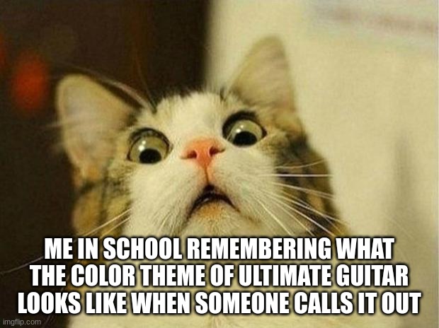 Scared Cat Meme | ME IN SCHOOL REMEMBERING WHAT THE COLOR THEME OF ULTIMATE GUITAR LOOKS LIKE WHEN SOMEONE CALLS IT OUT | image tagged in memes,scared cat,guitar | made w/ Imgflip meme maker