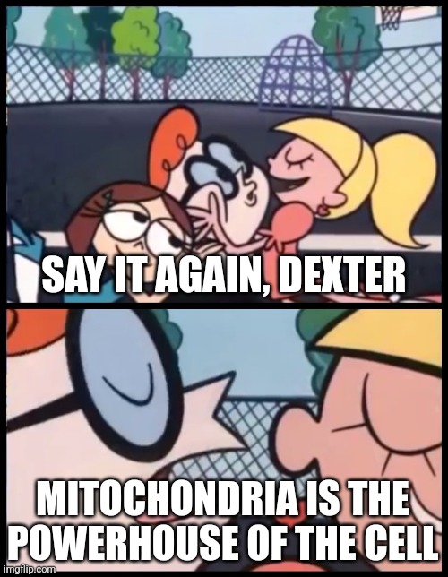 Mitochondria is the...I know what it is! | SAY IT AGAIN, DEXTER; MITOCHONDRIA IS THE POWERHOUSE OF THE CELL | image tagged in memes,say it again dexter,you know i'm something of a scientist myself,why am i doing this | made w/ Imgflip meme maker