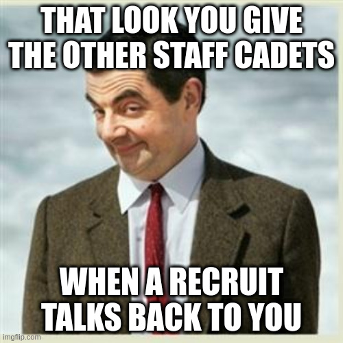 Mr Bean Smirk | THAT LOOK YOU GIVE THE OTHER STAFF CADETS; WHEN A RECRUIT TALKS BACK TO YOU | image tagged in mr bean smirk | made w/ Imgflip meme maker