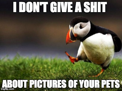 Unpopular Opinion Puffin Meme | I DON'T GIVE A SHIT  ABOUT PICTURES OF YOUR PETS | image tagged in memes,unpopular opinion puffin,AdviceAnimals | made w/ Imgflip meme maker