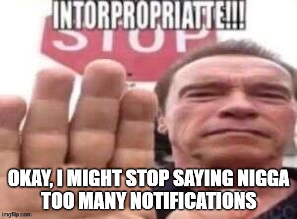 intorpropriatte | OKAY, I MIGHT STOP SAYING NІGGA
TOO MANY NOTIFICATIONS | image tagged in intorpropriatte | made w/ Imgflip meme maker