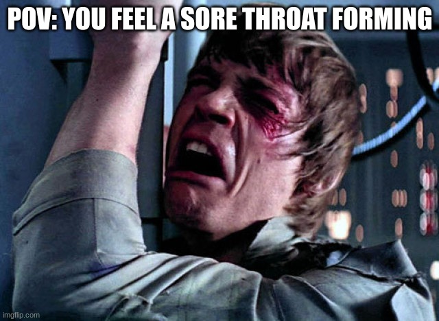 annnnd now I'm sick again- that only took a week :'D | POV: YOU FEEL A SORE THROAT FORMING | image tagged in nooo | made w/ Imgflip meme maker