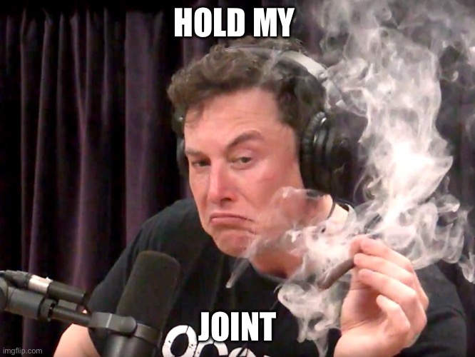 Elon Musk Weed | HOLD MY JOINT | image tagged in elon musk weed | made w/ Imgflip meme maker