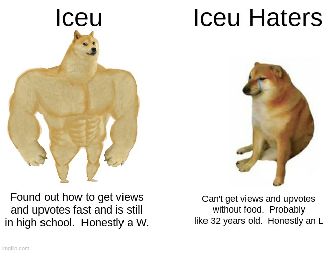 Am I wrong tho? | Iceu; Iceu Haters; Found out how to get views and upvotes fast and is still in high school.  Honestly a W. Can't get views and upvotes without food.  Probably like 32 years old.  Honestly an L | image tagged in memes,buff doge vs cheems | made w/ Imgflip meme maker